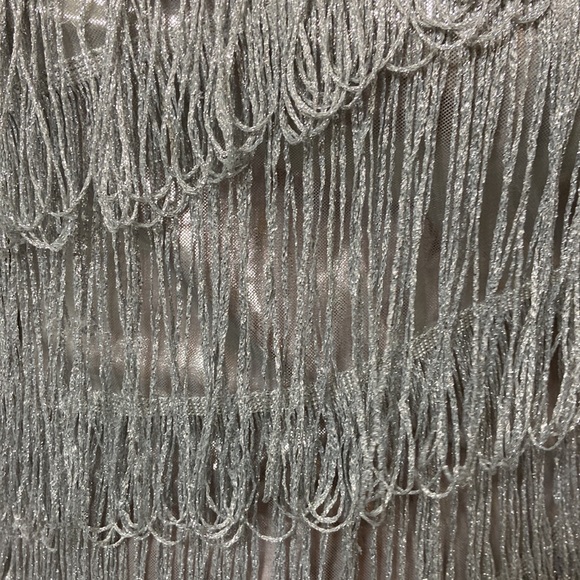 Spirit Halloween women’s silver flapper girl dress. Size adult small (4-6) - Picture 6 of 14